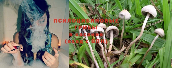 PSILOCYBIN Абинск