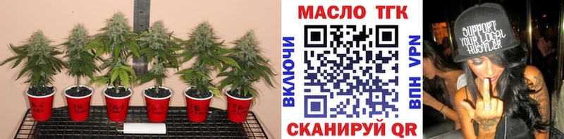 ТГК жижа  shop как зайти  кракен ССЫЛКА  Фурманов  дарнет шоп 