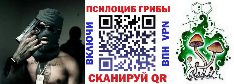 наркота  Фурманов  Галлюциногенные грибы Cubensis 