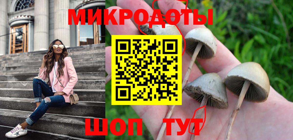Псилоцибиновые грибы Psilocybine cubensis  Вход с VPN  Фурманов 